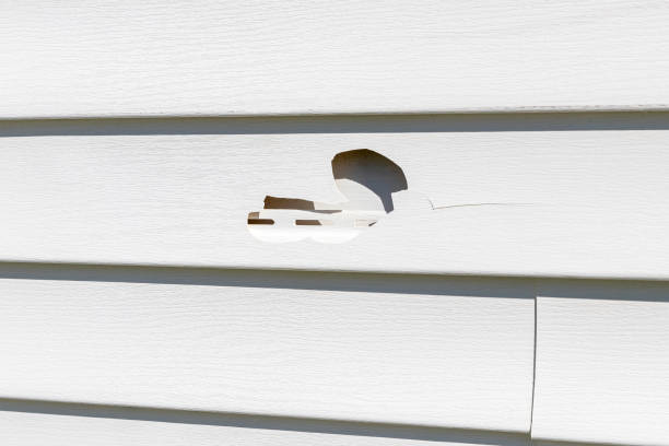 Best Foreclosure Cleanout  in Tigerville, SC